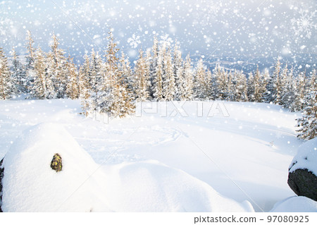 beautiful winter landscape with snowy fir trees beautiful winter landscape with snowy fir trees 97080925