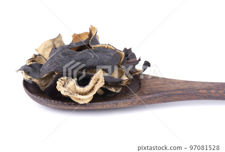 Dry black fungus in wooden spoon, isolated on white background. Chinese black mushroom or tree black muer mushroom. Auricularia polytricha. 97081528