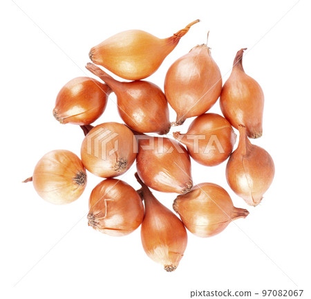 Brown mini onions isolated on a white background. Raw onion bulbs, for cultivation. French onion. Top view. 97082067