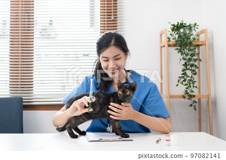 Veterinarian woman in blue uniform is holding syringe and vaccinate to treatment a cat of pet appointment Veterinarian woman in blue uniform is holding syringe and vaccinate to treatment a cat of pet appointment 97082141