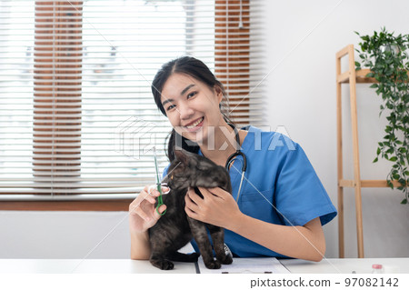 Veterinarian woman in blue uniform is holding syringe and vaccinate to treatment a cat of pet appointment Veterinarian woman in blue uniform is holding syringe and vaccinate to treatment a cat of pet appointment 97082142