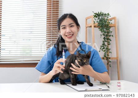 Veterinarian woman in blue uniform is holding syringe and vaccinate to treatment a cat of pet appointment Veterinarian woman in blue uniform is holding syringe and vaccinate to treatment a cat of pet appointment 97082143