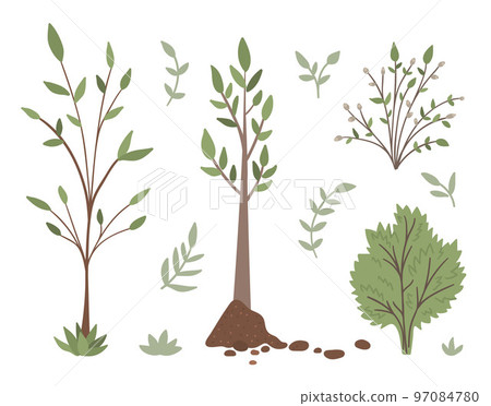 Vector set of trees, plants, shrubs, bushes, twigs isolated on white background. Flat spring garden illustration. Gardening or forest icons collection Vector set of trees, plants, shrubs, bushes, twigs isolated on white background. Flat spring garden illustration. Gardening or forest icons collection 97084780