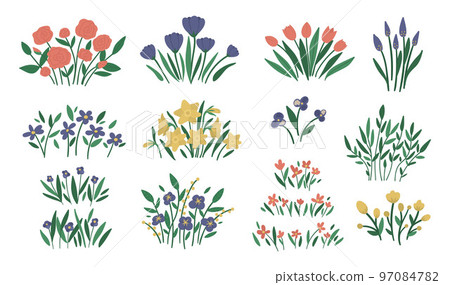 Vector illustration of different flower arrangements. Garden decorative plants bouquets. Collection of beautiful spring and summer herbs and flowers. 97084782