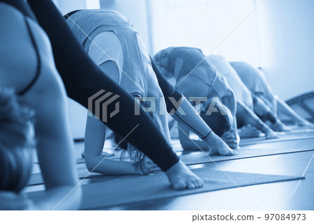 Yoga Class, Group of People Relaxing and Doing Yoga pose. Wellness and Healthy Lifestyle. 97084973