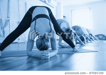 Yoga Class, Group of People Relaxing and Doing Yoga pose. Wellness and Healthy Lifestyle. 97085100