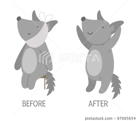 Vector ill animal versus healthy. Cute wolf with bandage on its face. Funny patient characters. Medical illustration for children. Before and after illness picture. Recovery concept Vector ill animal versus healthy. Cute wolf with bandage on its face. Funny patient characters. Medical illustration for children. Before and after illness picture. Recovery concept 97085654