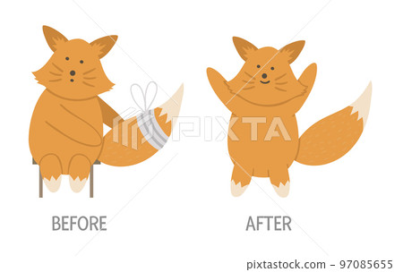 Vector ill animal versus healthy. Cute fox with bandage on its tail. Funny patient characters. Medical illustration for children. Before and after illness picture. Recovery concept Vector ill animal versus healthy. Cute fox with bandage on its tail. Funny patient characters. Medical illustration for children. Before and after illness picture. Recovery concept 97085655