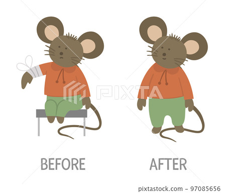 Vector ill animal versus healthy. Cute mouse with bandage on its arm. Funny patient characters. Medical illustration for children. Before and after illness picture. Recovery concept Vector ill animal versus healthy. Cute mouse with bandage on its arm. Funny patient characters. Medical illustration for children. Before and after illness picture. Recovery concept 97085656