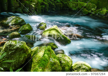 Kikuchi Gorge 97087264