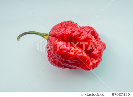 hot red ghost pepper 97087330