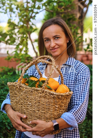 Woman holding basket full of fruits mandarin. Season of mandarin 97088094