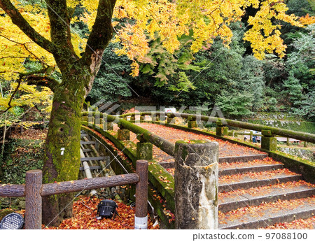 大阪府箕面公園滝道紅葉橋 97088100