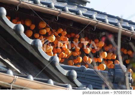 柿餅乾 柿餅乾 97089501