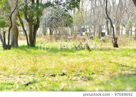 Park square on a sunny day Park square on a sunny day 97089692