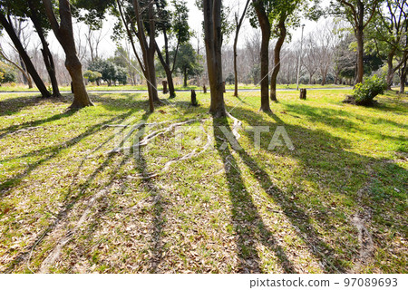 Park square on a sunny day Park square on a sunny day 97089693