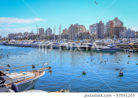 City and Marina panorama of Punta Del Este at sunny day, Uruguay City and Marina panorama of Punta Del Este at sunny day, Uruguay 97091203