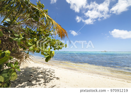 Palm trees and Tropical idyllic beach in Punta Cana, turquoise caribbean sea 97091219