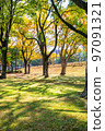 It is the scenery of Shinkoi Bridge Higashizume Park at the westernmost end of Peace Boulevard. Enjoy the city scenery with vivid autumn leaves in the morning. Hiroshima 97091321