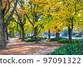 It is the park scenery in front of the Fukushima-cho tram stop on Peace Boulevard. Please enjoy the scenery of the city area with beautiful autumn leaves. Hiroshima 97091322