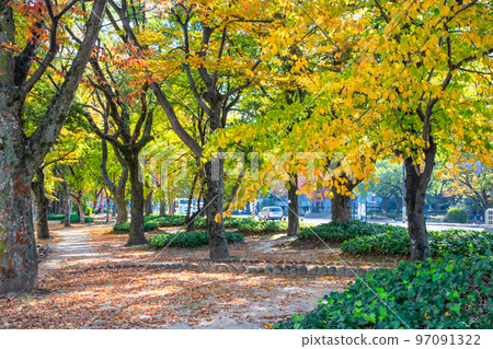 和平大道福島町電車站前的公園景色。請盡情欣賞市區的紅葉美景。廣島 和平大道福島町電車站前的公園景色。請盡情欣賞市區的紅葉美景。廣島 97091322