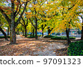 It is the park scenery in front of the Fukushima-cho tram stop on Peace Boulevard. Please enjoy the scenery of the city area with beautiful autumn leaves. Hiroshima 97091323