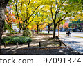 This is the autumn view of the city seen from the park in front of the West Fire Station on Peace Boulevard. Please enjoy the beautiful autumn leaves. Hiroshima 97091324