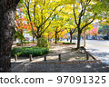 This is the autumn view of the city seen from the park in front of the West Fire Station on Peace Boulevard. Please enjoy the beautiful autumn leaves. Hiroshima 97091325