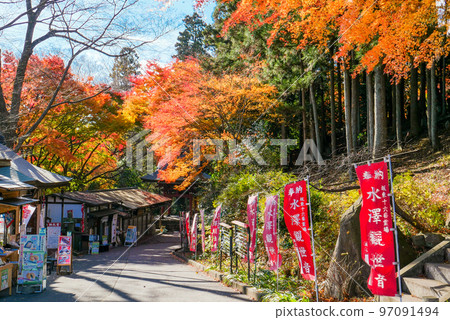 Mizusawa Kannon approach to autumn leaves Mizusawa Kannon approach to autumn leaves 97091494