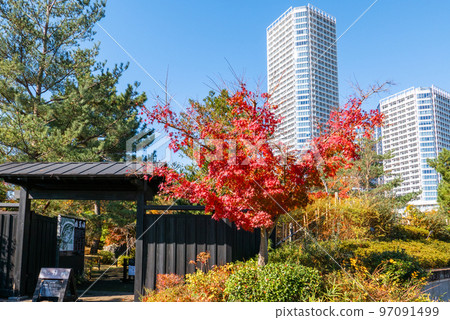 秋葉和二子玉川公園 秋葉和二子玉川公園 97091499