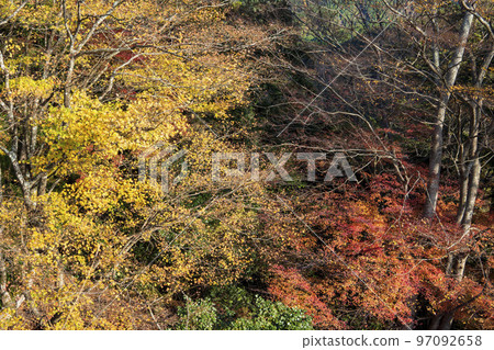 Autumn leaves of Takatori Castle Ruins / Nara Prefecture [National designated historic site, Japan's three major mountain castles, Japan's 100 famous castles] 97092658