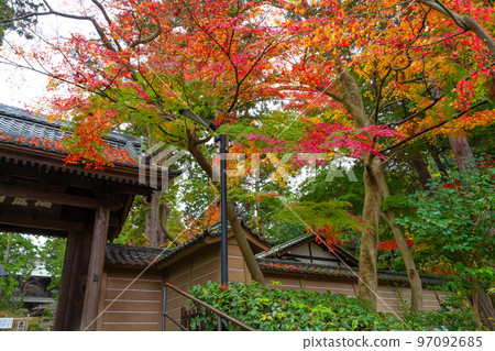 紅葉季節的神奈川縣鎌倉市圓覺寺 紅葉季節的神奈川縣鎌倉市圓覺寺 97092685