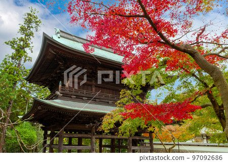 紅葉季節的神奈川縣鎌倉市圓覺寺 97092686