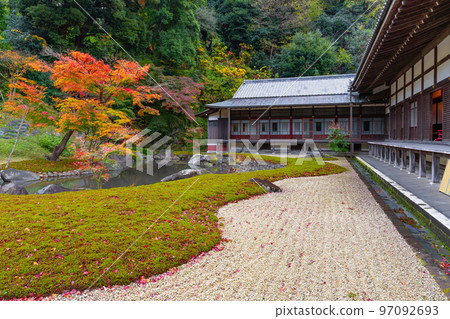 紅葉季節的神奈川縣鎌倉市圓覺寺 97092693