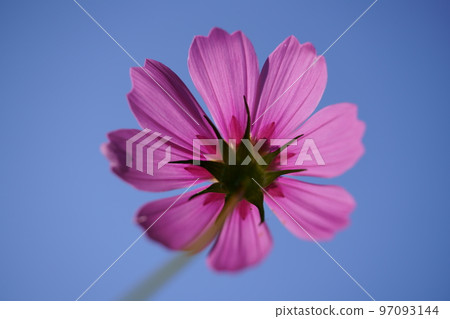 回到宇宙 97093144