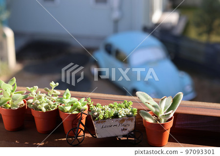 窗邊的風景 早晨陽光普照的房間窗戶上的盆栽植物 Life with windows 窗邊的風景 早晨陽光普照的房間窗戶上的盆栽植物 Life with windows 97093301
