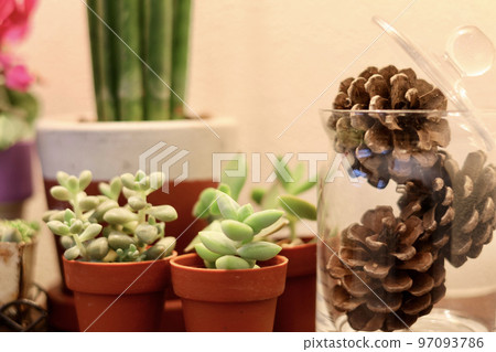 A small space illuminated by indirect lighting A healing space with houseplants in the niche A small space illuminated by indirect lighting A healing space with houseplants in the niche 97093786