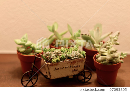 A small space illuminated by indirect lighting A healing space with houseplants in the niche 97093805