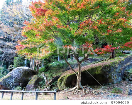Historic site of the Jomon period with beautiful autumn leaves, Iwaya Iwakage Ruins, Iwaya Iwakageiseki, Gero City, Gifu Prefecture, Kanayama megaliths 97094059