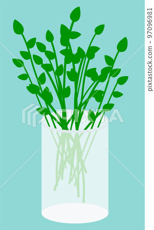 Plucked Plants in Vase, Bouquet for Decoration 97096981