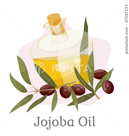 Golden Jojoba Oil in Vessel, Branch with Drupes Golden Jojoba Oil in Vessel, Branch with Drupes 97097155