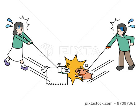 An isometric illustration of a pet dog who fights with another dog while walking and a panicking owner 97097361