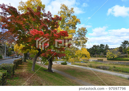 Kamo Highway and Kamo River in Kita Ward, Kyoto City in the morning of autumn Kamo Highway and Kamo River in Kita Ward, Kyoto City in the morning of autumn 97097796