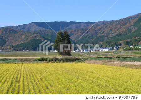 Rural scenery with Totoro in Takashima City, Shiga Prefecture in autumn 97097799