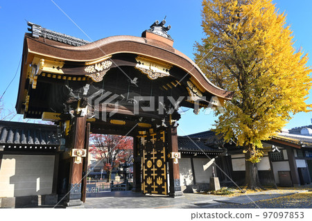 秋天閃耀的京都東本願寺阿彌陀堂 97097853