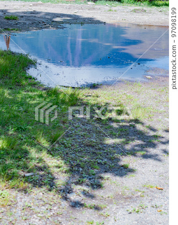 Senjugahama on the shores of Lake Chuzenji 97098199
