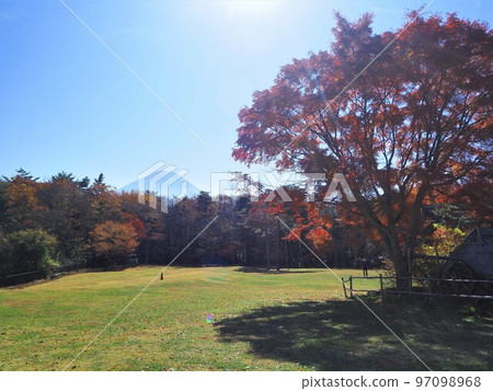 山梨縣八町之森公園秋葉十一月 97098968