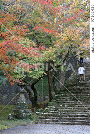 Autumn Pilgrimage (Godaisan Chikurinji Temple, Kochi Prefecture) 97101436