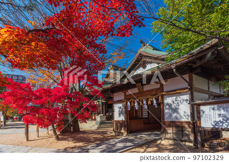 秋日漫步長野縣松本市，四柱神社 97102329