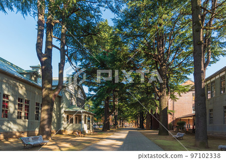Autumn in Matsumoto City, Nagano Prefecture, Agata no Mori Park 97102338